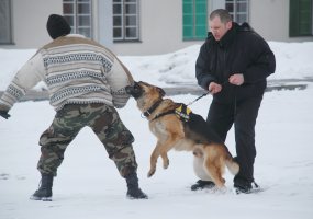 Mindaugo batalione tęsiasi moksleivių ekskursijos  - 2