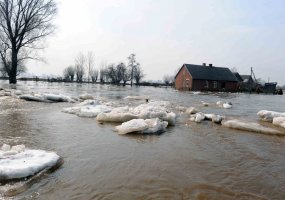 Kariai atstato pralaužtus pylimus Nemuno žemupyje Pagėgių savivaldybėje - 5