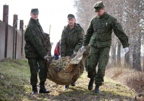 Aviacijos bazėje vyko pavasarinė talka „Darom 2010“ - 1