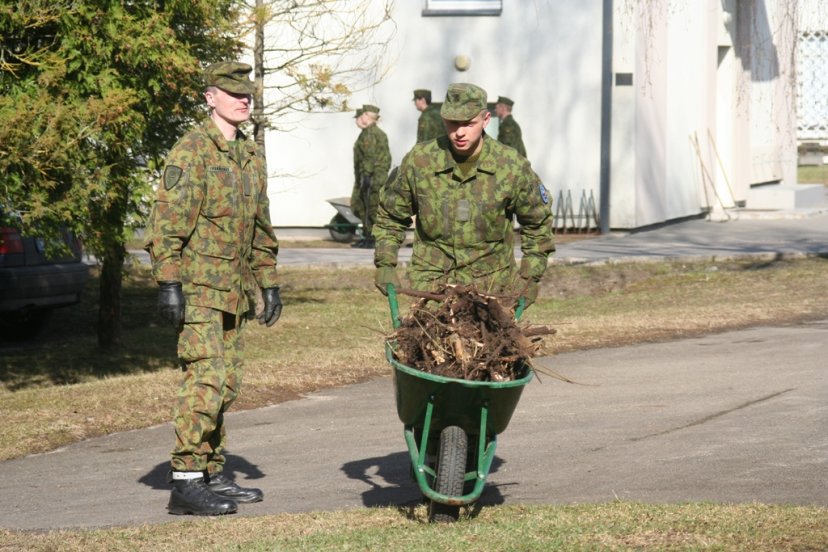 Tvarkos diena Mindaugo batalione