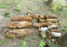 Kariuomenės išminuotojai Radviliškio rajone tęsia vieną didžiausių pastaraisiais metais... - 5
