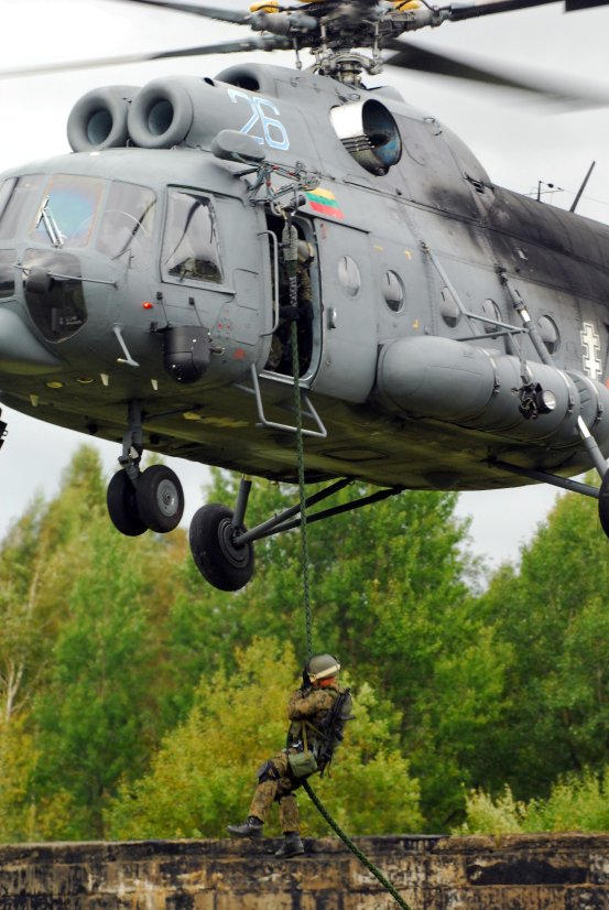 Tarptautinių pratybų „Šakalo akmuo 2010“ svečių ir žiniasklaidos diena