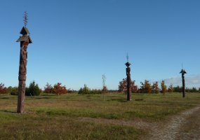 Kariuomenės vado ąžuolas papuošė Žalgirio parką - 6