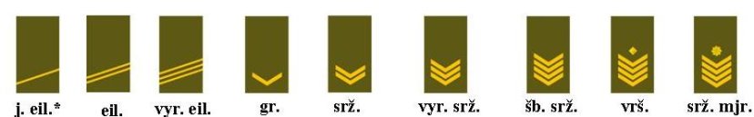 Pradedama įgyvendinti nekarininkų karinių laipsnių reforma 