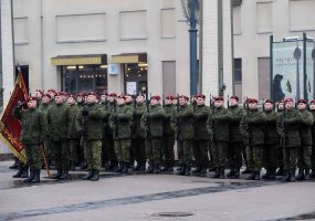 Krašto apsaugos savanorių pajėgos minėjo 20-ąsias įkūrimo metines - 4