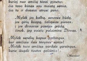 Rašinių konkurso „Koks yra Tėvynės gynėjas? - 1