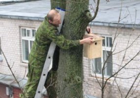 Lietuvos kariuomenės kariai ir civiliai dalyvavo akcijoje „Darom“ - 5