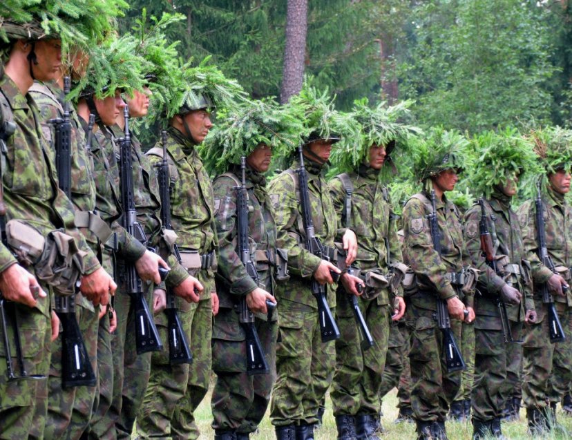 Tarnybą Lietuvos kariuomenėje pradeda dar vienų Būtinųjų karinių mokymų dalyviai