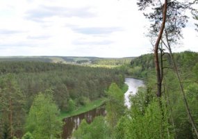 Jungtinio štabo atstovai dalyvavo Kariuomenės ir visuomenės šventei skirtame dviračių žygyje - 3