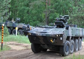 Troops from nine countries gather for Amber Hope 2011 in the Pabradės Training Area  - 3