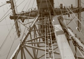Lenkijoje eksponuojami Lietuvos karininkės meno darbai  - 6