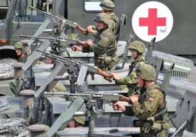 Tarptautines pratybas „Gintarinė viltis 2011“ Pabradės poligone stebėjo ir Vyriausioji šalies... - 2