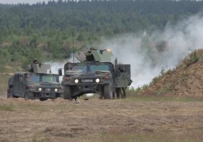 Tarptautines pratybas „Gintarinė viltis 2011“ Pabradės poligone stebėjo ir Vyriausioji šalies... - 3