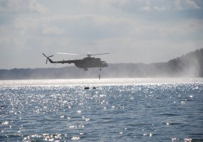 Brigados „Geležinis Vilkas - 2