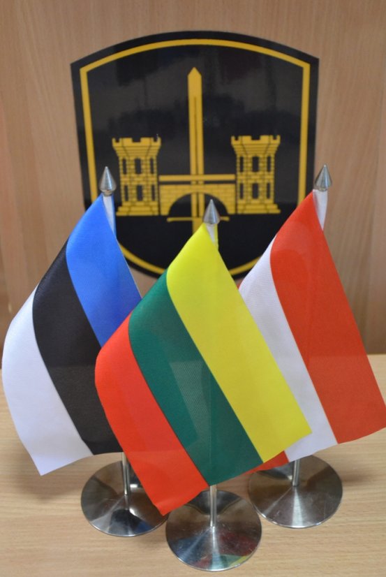 Military engineers of the Baltic States shared experience 