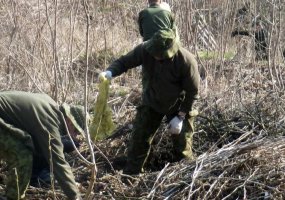Kariai aktyviai dalyvavo akcijoje „Darom 2012“ - 3