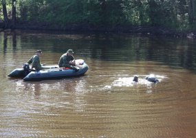 Sausumos pajėgų žvalgai tobulina savo gebėjimus - 5
