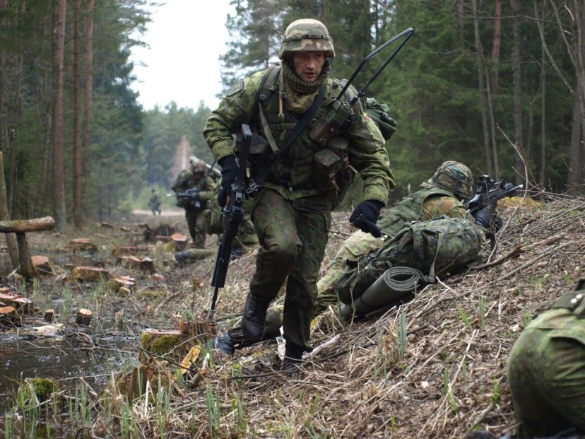 Kviečiame stebėti Algirdo bataliono karių pratybų
