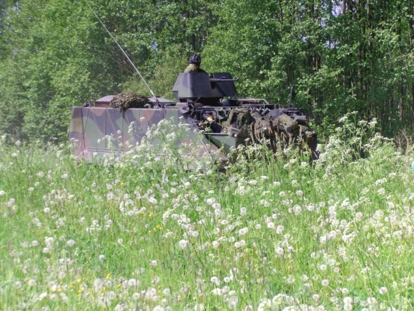 Kaišiadorių rajone siautėjo „aršus vilkas“