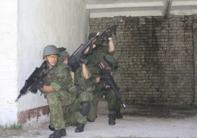 Tarptautinėse pratybose „Kardo kirtis 2012 - 2