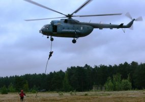 Lietuvos kariai ir ugniagesiai gelbėtojai treniravosi kartu  - 3