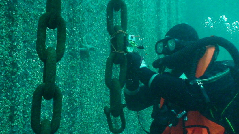 Soldiers of the Lithuanian Naval Force Underwater Action Team participate in mine clearance...