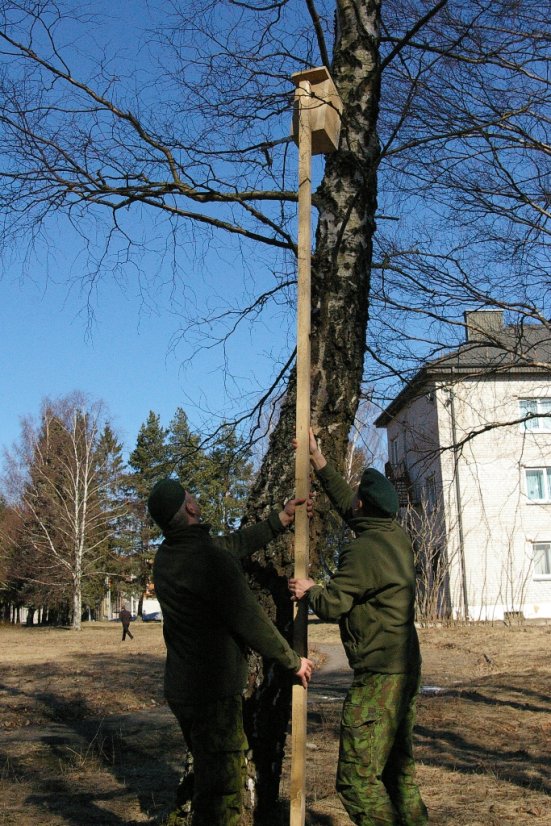 Dragūnų bataliono kariai prisijungė prie visuomeninės akcijos „Devyniasdešimt paukščių pavasarių“