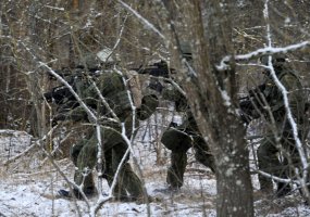Lietuvos kariuomenės Specialiųjų operacijų pajėgos švenčia penkerių metų jubiliejų - 1