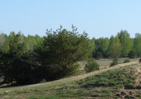 Oro gynybos batalione - vertinamosios lauko taktikos pratybos - 5