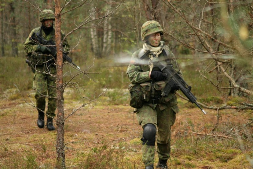 Birutės bataliono I kuopos vertinamosios pratybos „Ulono smūgis 2013“