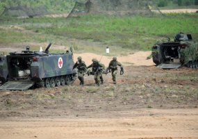 “Saber Strike 2013” DV Day at Pabradė - 4