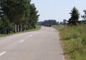 Prancūzijos ir Lietuvos karinių oro pajėgų karių piligriminis žygis - 1