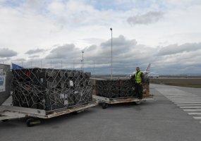 Lithuania's third soldier deployed with KFOR - 2