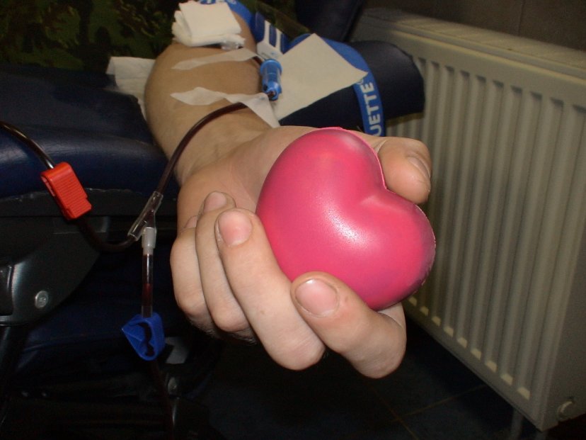 Kraujo donorystės akcija Mindaugo batalione