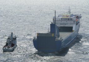 Karinės jūrų pajėgos treniravosi greitai ir efektyviai atlikti gelbėjimo operacijas  - 2