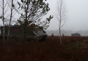 Lauko taktinės pratybos  „Ulono smūgis-2014“ - 2