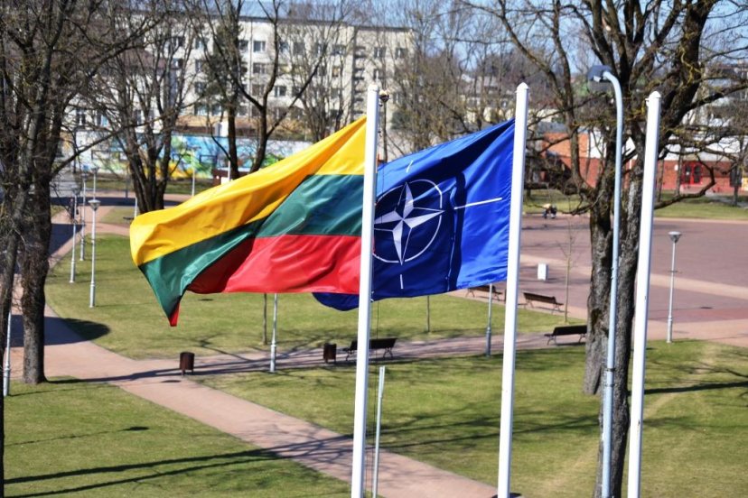 Brigados „Geležinis Vilkas“ kariai  narystės NATO 10-metį minėjo kartu su visuomene 
