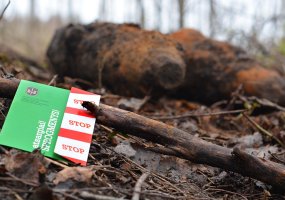 Lietuvos kariai išminuotojai: per tris mėnesius kasdien po dvi sprogmenų neutralizavimo operacijos - 3