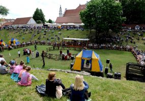 Galingi senovinio kalavijo smūgiai į pergalę Riterių turnyre atvedė 27-rių lietuvį - 1