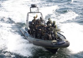 Special operations forces train at Exercise Flaming Sword 2014 in Lithuania - 1