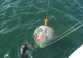 Lithuania's military personnel attend water survival exercise  - 1