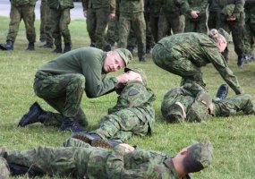 The first phase of the multinational exercise Saber Junction 2014 in full swing  - 1