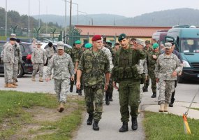 The home straight at Exercise Saber Junction 2014  - 1