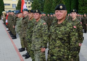 Lithuanian troops take part in international exercise Maple Arch 2014 in Poland - 3
