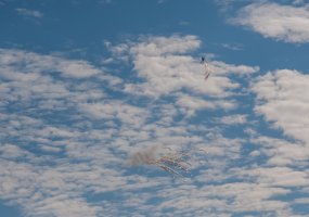 Lenkijoje baigėsi tarptautinės pratybos „Anakonda-14” - 5