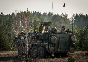 Vyks tarptautinių pratybų „Geležinis kardas 2014“ svečių ir žiniasklaidos diena - 2