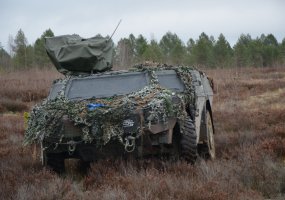 Vokietijos kariuomenės kovos mašinoms – plėšrių gyvūnų pavadinimai - 2