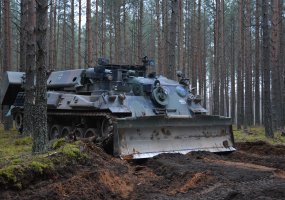 Vokietijos kariuomenės kovos mašinoms – plėšrių gyvūnų pavadinimai - 4