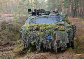 Vokietijos kariuomenės kovos mašinoms – plėšrių gyvūnų pavadinimai - 5