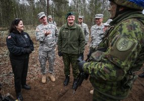 A U.S. delegation visited Exercise Iron Sword 2014  - 5